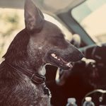 Georgia - @georgia.bean74 - Instagram