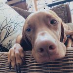 Georgia Bean - @georgia_bean_ - Instagram
