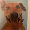 georgia bean - @georgia_beanshit - TikTok