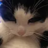 Georgia Beard - @georgiabeard - TikTok