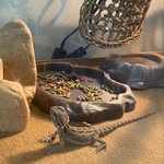 Georgia Haralson - @georgia_bearded_dragon - Instagram