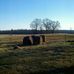 Central Georgia Branch Station Wildlife Management Area - Facebook