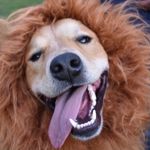 Georgia Beans Blanchard - @georgia_branch_manager_ - Instagram