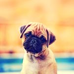 Gęõrgįä Ćäłvērt - @_x.x_smile_x.x_ - Instagram