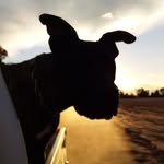 Georgia Carmichael - @gcarmichael.countryphotos - Instagram