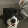 Georgia Chase - @georgiachase - TikTok