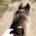 Laylah Van Alstyne 🇬🇧🇿🇦 - @georgia_cobbie_ - Instagram