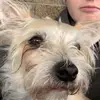 Georgia Collier - @georgia.collier03 - TikTok