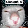 Georgia Collier - @georgiacollier30 - TikTok