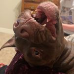 Georgia Compton - @ghostgirl_gigi16 - Instagram