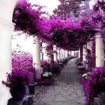 Georgia Schaefer-Comstock - @geor.gia4868 - Instagram