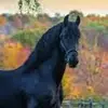 georgia_oconnell4686 - @georgia_oconnell4686 - TikTok