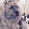 Georgiaconnelly - @georgiaconnelly - TikTok
