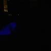 georgia_cooleyyyy - @hdfsssdbhgcddfgdewrvnn - TikTok