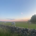 Georgia - @georgiacoyle2023 - Instagram