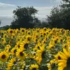 georgia - @georgia.coyle - TikTok