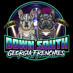 P.U.P - @downsouthgeorgiafrenchies - Instagram