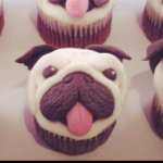 Georgia Drew - @cupcakeposts26 - Instagram