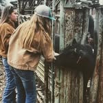 Georgia Fair - @farm.girl2022 - Instagram