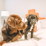 Georgia & Miller Fields - @miller.clark1 - Instagram
