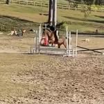 Georgia Gentry - @georgia._.equestrian13 - Instagram