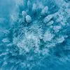 georgiabennettgoff - @georgiabennettgoff - TikTok