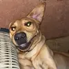 georgia_goodman - @georgia_goodman - TikTok