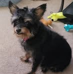 Georgia Griggs - Facebook