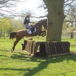 Georgia Griggs - @gpg_eventing - Instagram