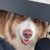 Georgia Hammond240 - @georgia.hammond - TikTok