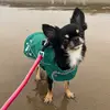 Georgia - @georgiaroseholder - TikTok