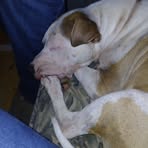Georgia Holder - Facebook