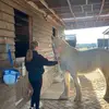 Georgia - @georgiahorne4 - TikTok