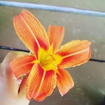 Georgia Hull - @georgia.hull.3 - Instagram