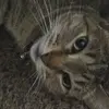 Georgia & Jack - @this.is.not.zay0_0 - TikTok