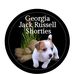 Georgia Jack Russell Shorties - Facebook
