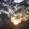 gkeating - @georgiakeating1 - TikTok