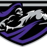 Middle Georgia State Knights - @mgaknights - Instagram