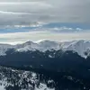 Georgie Larkin - @georgie.larkin - TikTok