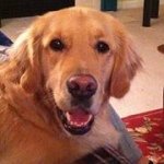 Georgia Leavell - @mleavellsr - Instagram