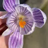 Georgia Lemon - @georgialemon0 - TikTok
