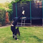 georgia levy - @dancegeorgia_ - Instagram
