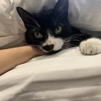 Georgia Liddle - Facebook
