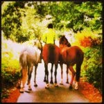 Georgia Liddle Follow Me ! 😇 - @pony_133 - Instagram