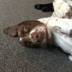 Georgia Lister - @georgia_lister55 - Instagram
