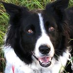 Georgia Lofton - @georgia_quilts - Instagram