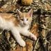 Georgia Long - Facebook