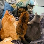 Jeff, Ludwig, Georgia & Will - @jeff_ludwig_georgia_will - Instagram
