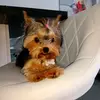 georgette - @georgia_luna0 - TikTok