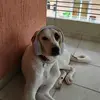 luna_🐶 - @luna.georgia - TikTok